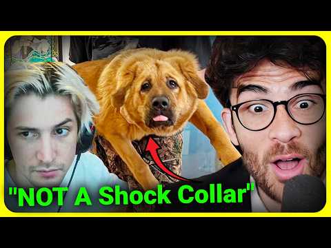 HATERS Use Kaya To ATTACK Hasan | Hasan Adventures