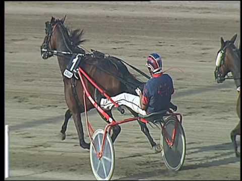 Trotto 16/09/2016 - 5ª corsa