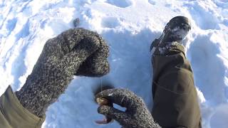 Ловля налима в кировской области зимой