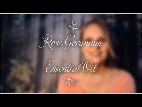 Rose Geranium Essential Oil - YouTube