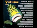 Volume Eight - The Wonder Stuff - Swell