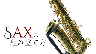 PLAYTECH ( プレイテック ) PTAS-350 アルトサックス ローズ PLAYTECH ( プレイテック ) PTAS-350 アルトサックス ローズ