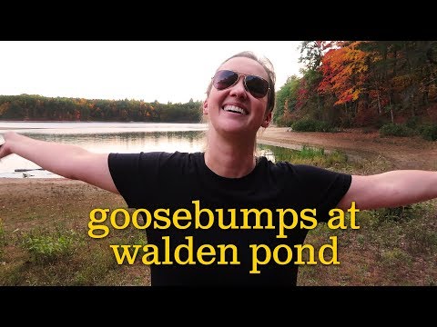Gänsehaut am Walden Pond