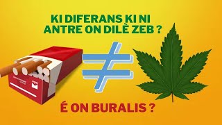 Maalkhema - Le buraliste & le Dealer ( de cannabis) Clip officiel .