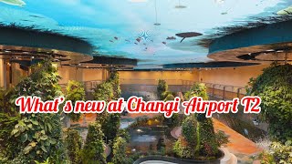 Download lagu Changi Airport t2 fully reopens | inside the new Transit Area mp3 Download lagu Changi Airport t2 fully reopens | inside the new Transit Area mp3