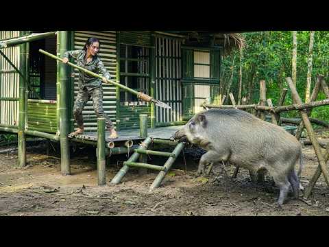 FULL VIDEO: Heart Racing Moment – Jungle Girl Desperately Throws Spear To Protect Home