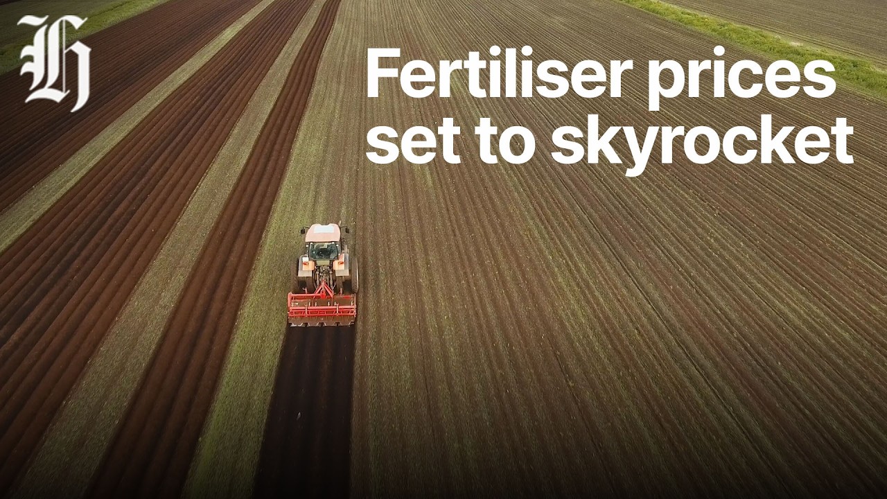Why the Middle East crisis is bad news for farmers and food prices alike| Herald NOW