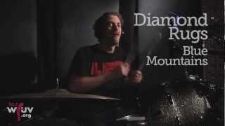 Diamond Rugs - "Blue Mountains" (Live at WFUV)