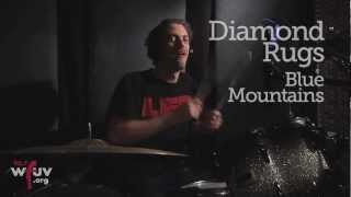 Diamond Rugs - &quot;Blue Mountains&quot; (Live at WFUV)