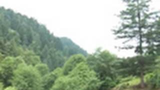 Jammu and Kashmir: Guns vs Roses