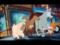 Oliver Company Streets Of Gold
