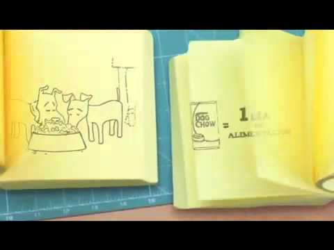 ¡Compartir es fácil! Con DOG CHOW®