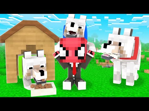KÖPEKLER BENİ SAHİPLENDİ 🐕 - Minecraft