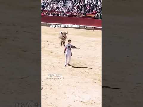 this is bull 🎥: aarongrande10 (IG) #shorts