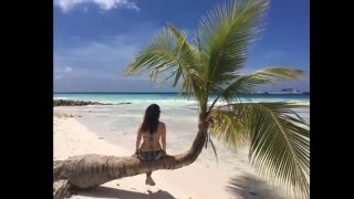 Se sai se puoi se vuoi.....  Pooh ( 1974)