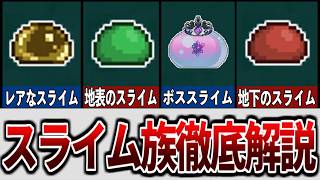 【テラリア】可愛い最弱モンスターのスライム族を徹底解説