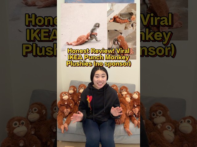 Vídeo relacionado con TaiXinYuly Punch Monkey Peluche, Peluche de orangután Grande de 66 cm, Manos MagnéTicas Mono de Peluche, Lavable y Seguro para niños, Juguete de Mono Suave y Realista