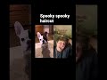 Spooky Spooky Haircut