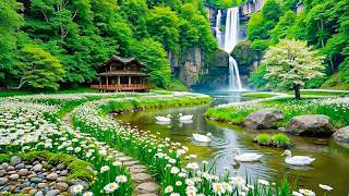 Restore Your Nervous System 🌿 Relaxing Music for Anxiety Relief & Stop Overthinking #6