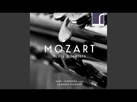Quartet No. 1 in D Major, K285: I. Allegro