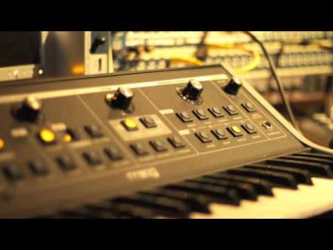 Pumpies Voyagerz - Supa Trump