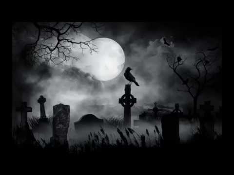 Shallow Rivers - Snow