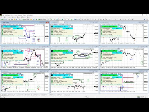 Video FiboPlusElliottPlusCME