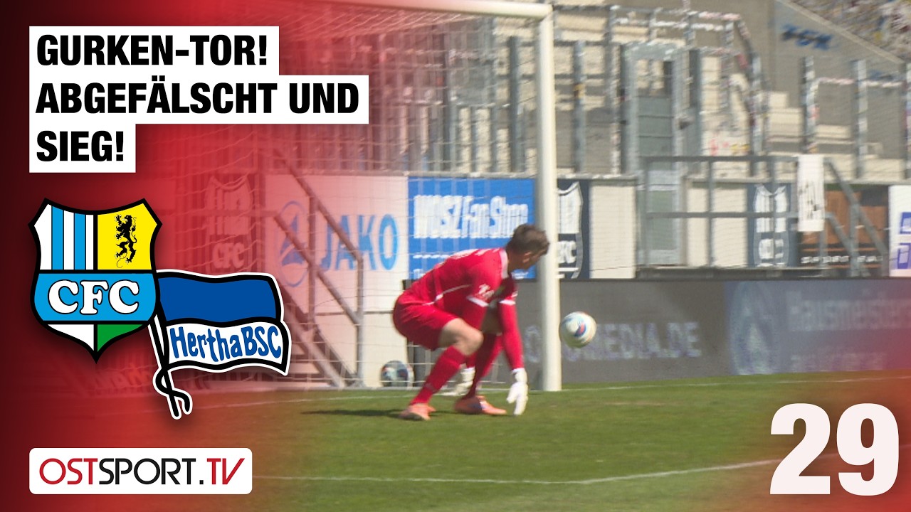 Chemnitzer vs Hertha BSC II U23 Highlights