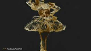 &quot;Heart with no companion&quot; performed by Leonard Cohen ...