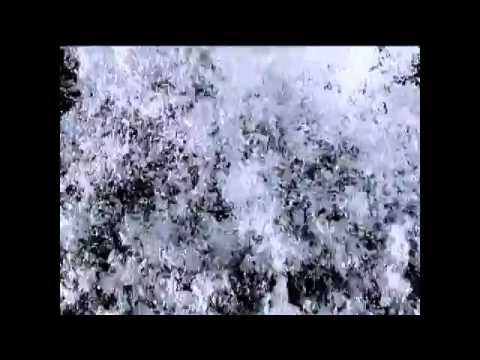 Sealed In by Alex Ward