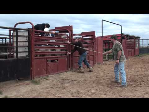 13 panhandle slim X Houdini