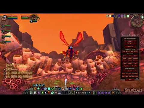 SoloCraft.org - Ayamiss the Hunter Solo Kill