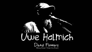 Uwe Halmich - Dead Flowers (Acoustic Cover)
