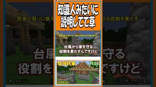 知識人みたいに説明してて草【マイクラ開拓記NSE】【#shorts】