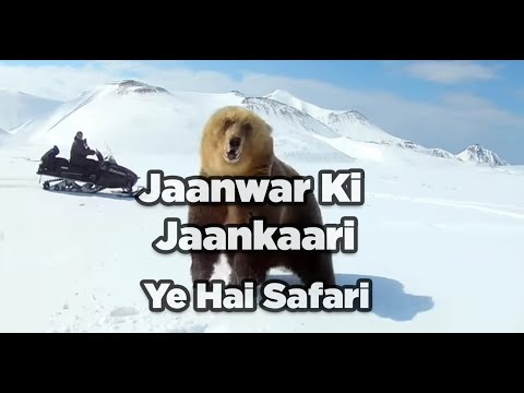 Jaanwar ki jaankari - Yeh hai safari  | Comedy | Sumaira Shaikh