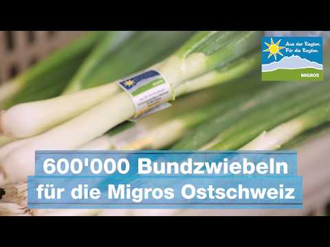Bundzwiebeln - Migros