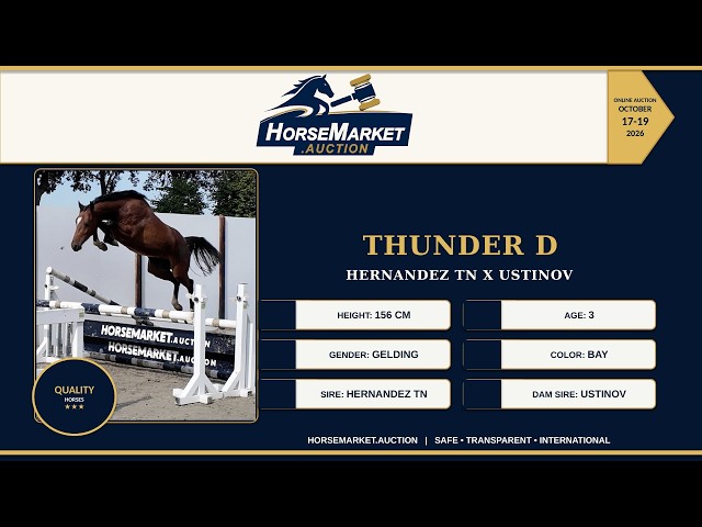 Thunder D