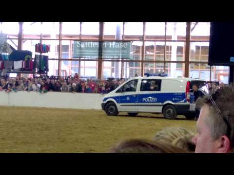 Polizeihund springt durch Autoscheibe !