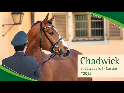 CHADWICK v. Cascadello I - Cassini II