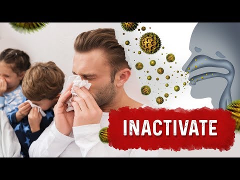 An APPLE a Day Will NOT Let Your Weight Go Away – Dr Berg