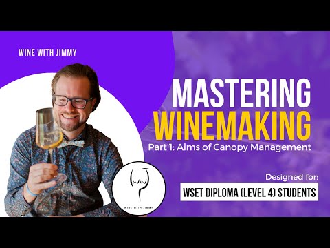 WSET Level 4 (WSET Diploma) Mastering The Aims of Canopy Management - Part 1