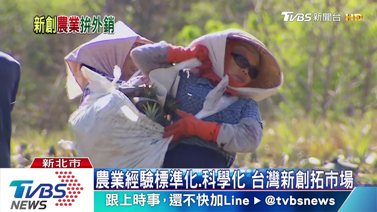 農業拚外銷！預測產期減少損失　新創團隊科技助攻
