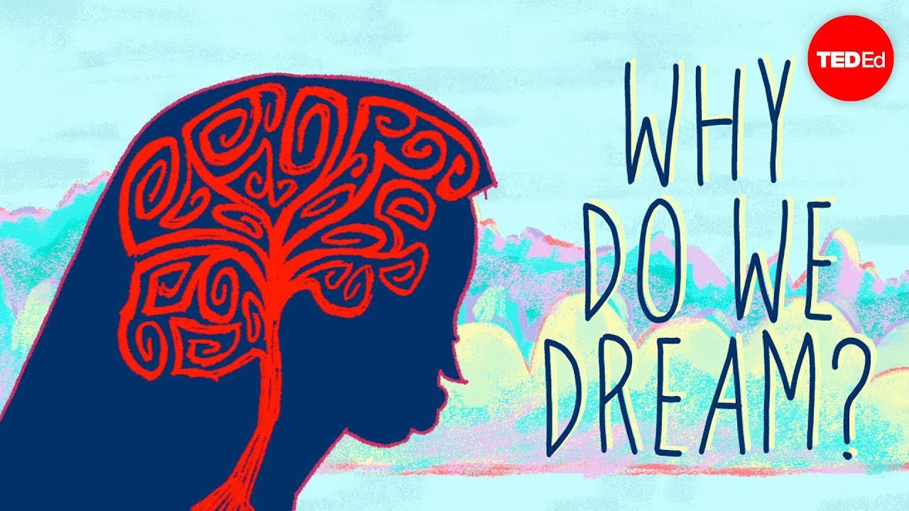 Why Do We Dream? The Leading Theories