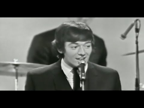 The Hollies - Look Through Any Window - London 1965