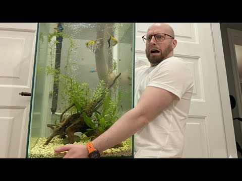 30.000 kr på akvarier - HOVSA!? (Vlog #16)