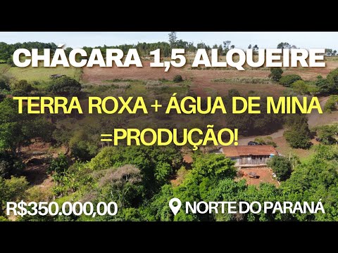 CHÁCARA À VENDA COM REPRESA, TERRA ROXA, POMAR PRODUZINDO | NORTE PIONEIRO