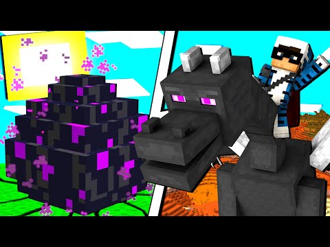 HO SCHIUSO L'UOVO DI ENDER DRAGON SU MINECRAFT - ITA