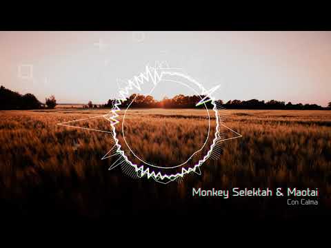 Monkey Selektah & Maotai   Con Calma (Bootleg)