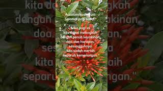 Download lagu Ucapan selamat pagi islami hari ini #short mp3