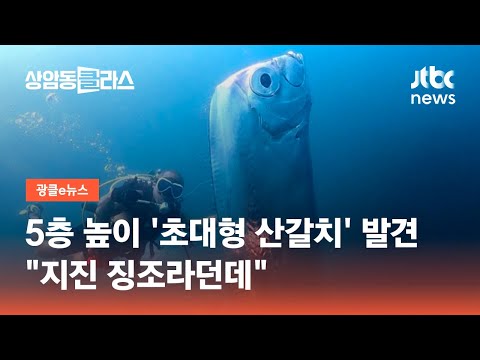 [유튜브] "지진 징조라던데"